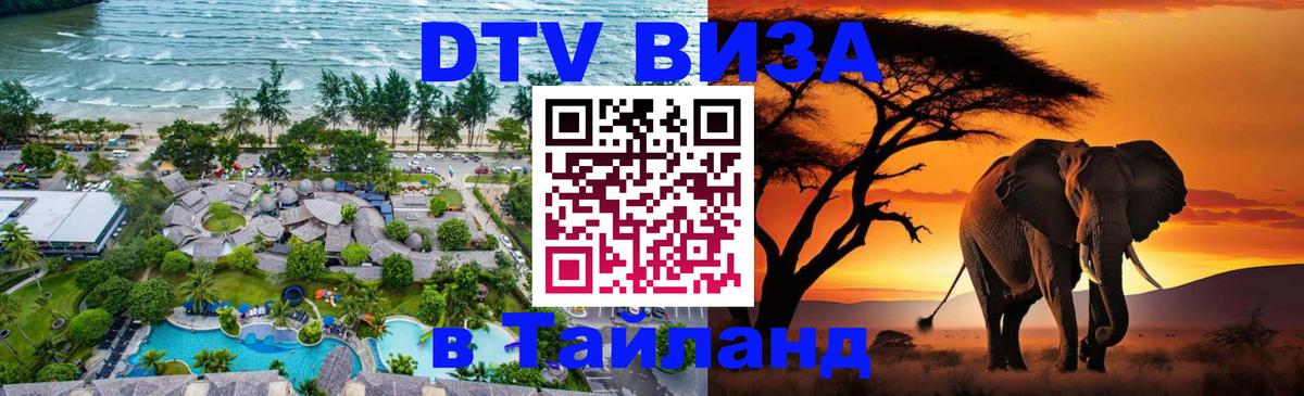 DTV Visa Тайланд купить 